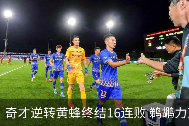 奇才逆转黄蜂终结16连败 鹈鹕力克76人3连胜